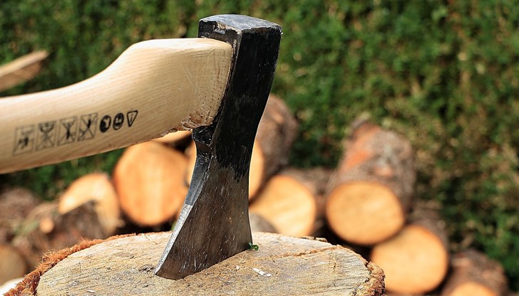 Започна проверка срещу 57-годишен мъж за незаконно притежание на дървесина Започна проверка срещу 57-годишен мъж за незаконно притежание на дървесина