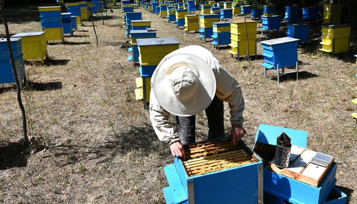 Без спешна подкрепа, секторът е заплашен от тотален колапс Без спешна подкрепа, секторът е заплашен от тотален колапс