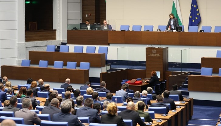 Конституционалист като Киселова сътвори скандал Конституционалист като Киселова сътвори скандал