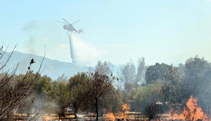 Силен вятър затруднява гасенето на огнената стихия на островите Евия и Лефкада Силен вятър затруднява гасенето на огнената стихия на островите Евия и Лефкада