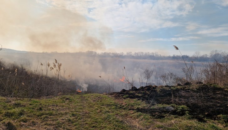 Огънят е унищожил растителност в имот, попадащ в екологичната мрежа НАТУРА 2000 Огънят е унищожил растителност в имот, попадащ в екологичната мрежа НАТУРА 2000