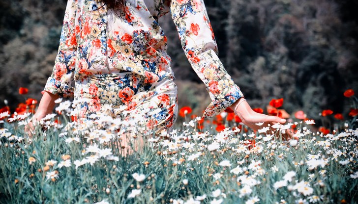 Вижте месечния хороскоп за всяка зодия Вижте месечния хороскоп за всяка зодия