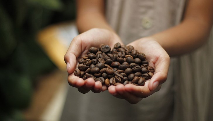 Климатичните промени доведоха до исторически скок в цената на кафето Климатичните промени доведоха до исторически скок в цената на кафето
