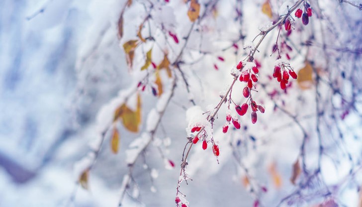 Рекордно студен февруари беляза зимния сезон в България Рекордно студен февруари беляза зимния сезон в България