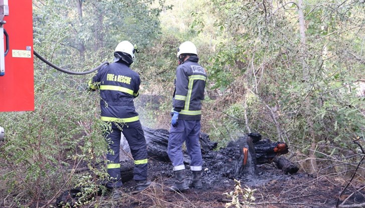 Екипите на пожарната гасиха горящи треви, отпадъци в контейнери и сажди в комин Екипите на пожарната гасиха горящи треви, отпадъци в контейнери и сажди в комин