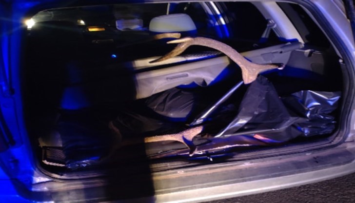 Нарушителите не се подчинили на сигналите на горските инспектори и опитали да избягат Нарушителите не се подчинили на сигналите на горските инспектори и опитали да избягат