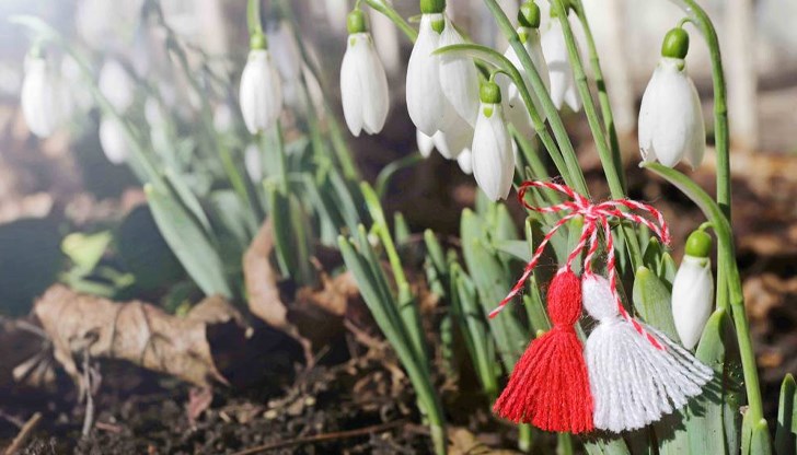 Синоптиците прогнозират топло време с разкъсана висока облачност в следващите дни Синоптиците прогнозират топло време с разкъсана висока облачност в следващите дни