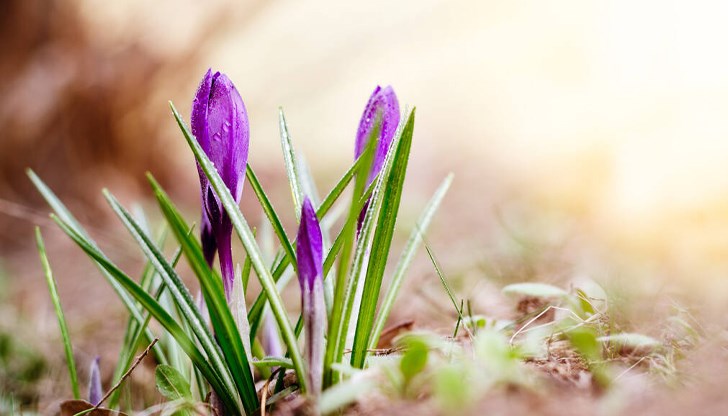 Времето остава топло за сезона Времето остава топло за сезона