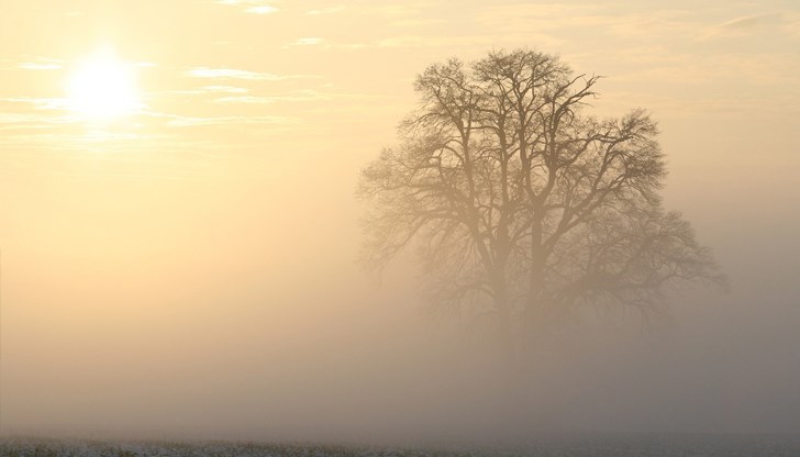 Мъгливи утрини и слънчеви дни с рязко повишение на температурите Мъгливи утрини и слънчеви дни с рязко повишение на температурите