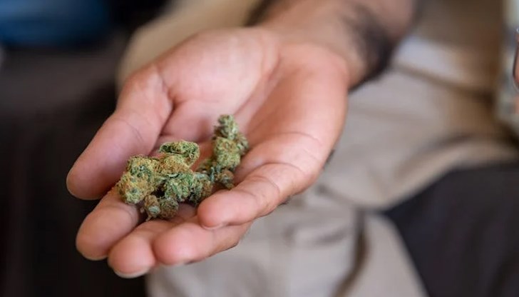 Общо 7 грама марихуана са иззети при две отделни полицейски акции в Русе Общо 7 грама марихуана са иззети при две отделни полицейски акции в Русе