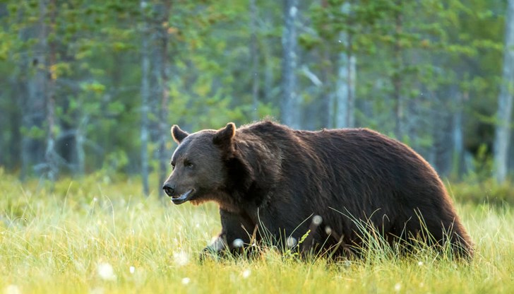 Пострадалият мъж е на апаратно дишане Пострадалият мъж е на апаратно дишане