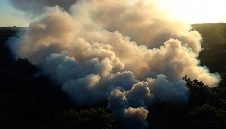 Силни ветрове разпалиха опустошителен горски пожар в Лонг Айлънд Силни ветрове разпалиха опустошителен горски пожар в Лонг Айлънд