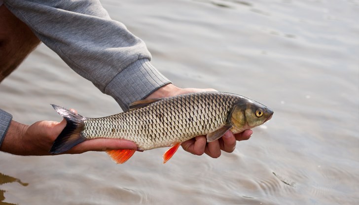 Риболовният сезон набира скорост Риболовният сезон набира скорост
