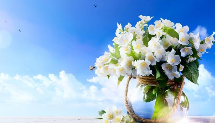 Метеоролозите прогнозират слънчево време в следващите дни Метеоролозите прогнозират слънчево време в следващите дни