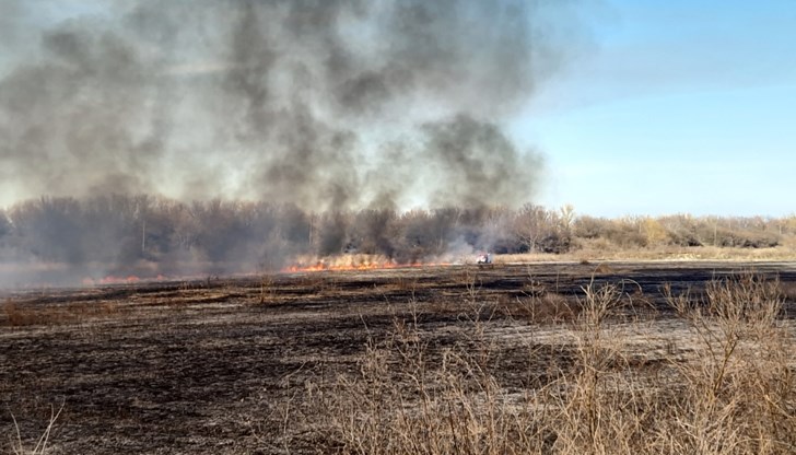 Небрежност с огън е предизвикал мащабния пожар в изоставени рибарници край Мечка Небрежност с огън е предизвикал мащабния пожар в изоставени рибарници край Мечка