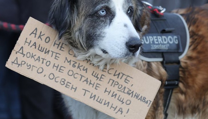 Инспектор Камен Николов: Стигне ли се до разследване, значи сме изпуснали нещата Инспектор Камен Николов: Стигне ли се до разследване, значи сме изпуснали нещата