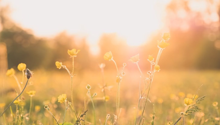 Очакват се кратковременни превалявания в отделни райони на страната Очакват се кратковременни превалявания в отделни райони на страната