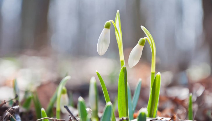 По-динамични промени ще има в Северна и Източна България По-динамични промени ще има в Северна и Източна България