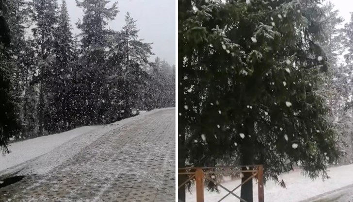 Баба Марта изненада с пролетен сняг в Батак и Пампорово Баба Марта изненада с пролетен сняг в Батак и Пампорово
