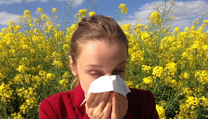 Копривата и ментата - съюзници срещу пролетните алергии Копривата и ментата - съюзници срещу пролетните алергии