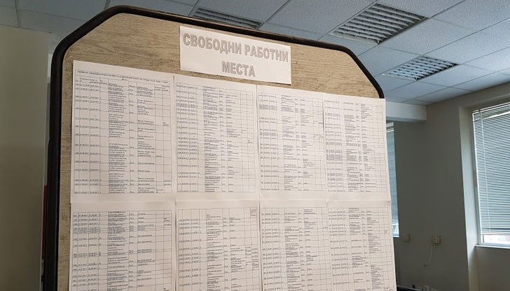 Над 200 свободни работни места предлага Бюрото по труда в област Русе Над 200 свободни работни места предлага Бюрото по труда в област Русе