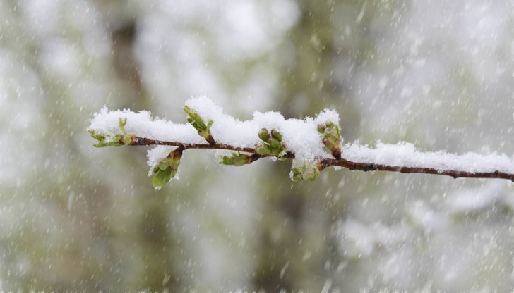 Температурите падат до минус 2 градуса Температурите падат до минус 2 градуса