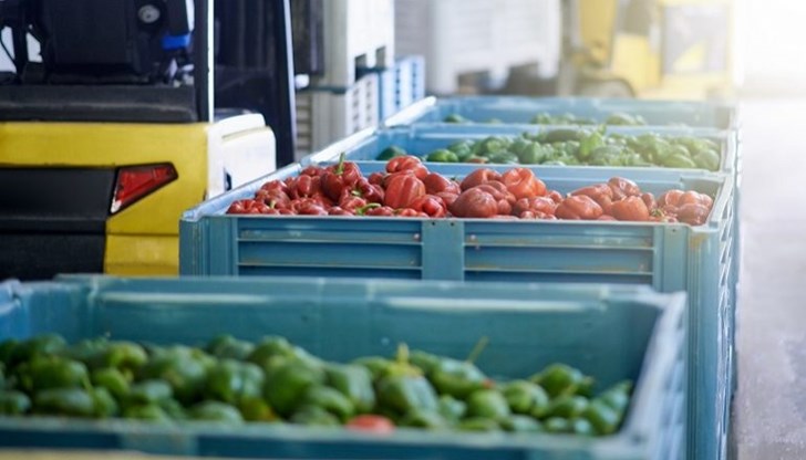 Задължителни договори и строги санкции въвежда новият закон Задължителни договори и строги санкции въвежда новият закон