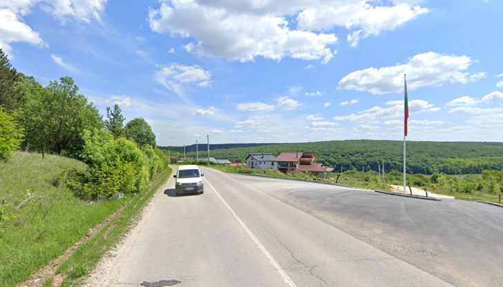 Иглолистната гора в местността "Дрибака" отстъпва място на жилищна зона Иглолистната гора в местността "Дрибака" отстъпва място на жилищна зона