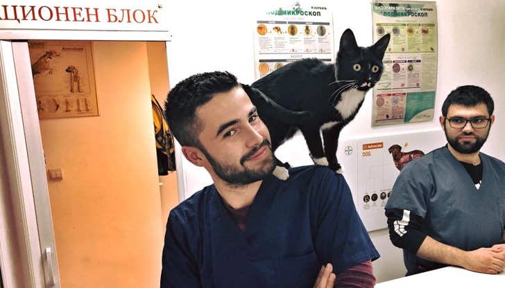 Пролетта е идеалното време да помислим за отговорност към животните около нас Пролетта е идеалното време да помислим за отговорност към животните около нас