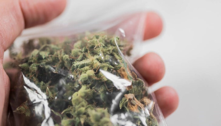 При единия са открити 2 грама, при другия – 6 грама марихуана и саморъчно свита цигара При единия са открити 2 грама, при другия – 6 грама марихуана и саморъчно свита цигара