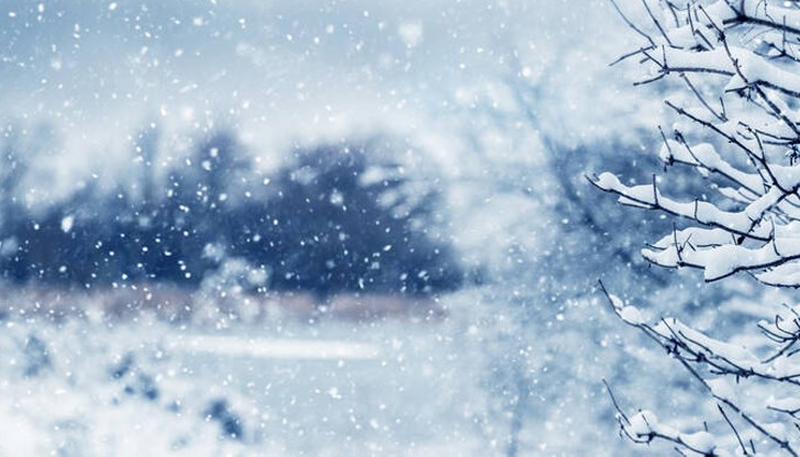 Снегът на острова е рядко явление, а по това време е изключително необичайно Снегът на острова е рядко явление, а по това време е изключително необичайно