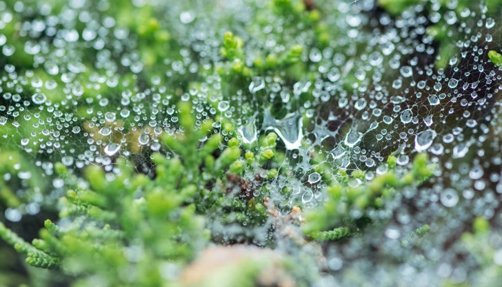 Топло време около Великден Топло време около Великден