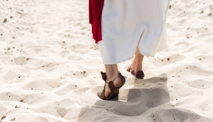 Експерти разкриват изненадващи теории Експерти разкриват изненадващи теории