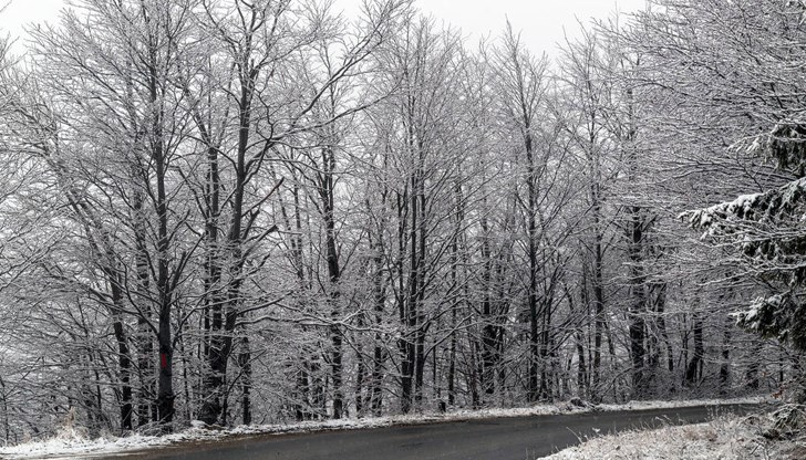 Всички пътища в областта са отворени за движение при зимни условия Всички пътища в областта са отворени за движение при зимни условия
