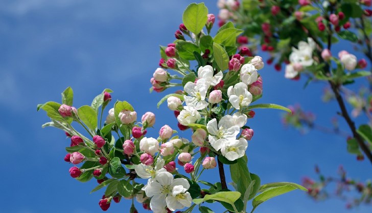 В Русе максималната температура ще е около 16 градуса В Русе максималната температура ще е около 16 градуса