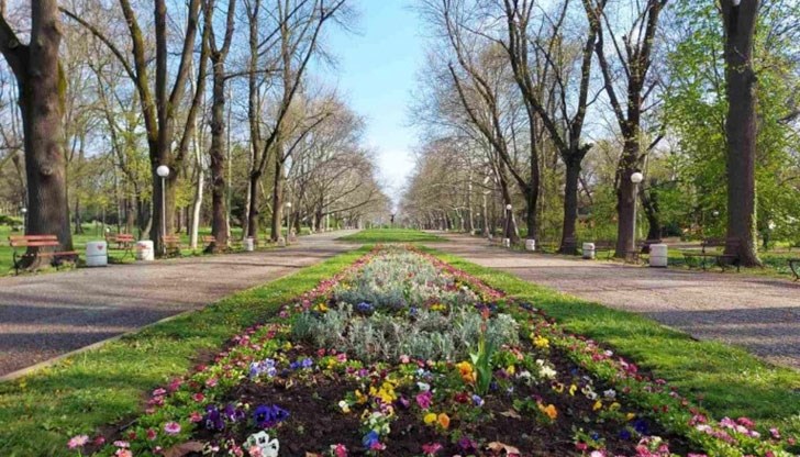 Температурите в Русе ще достигат 27 градуса Температурите в Русе ще достигат 27 градуса