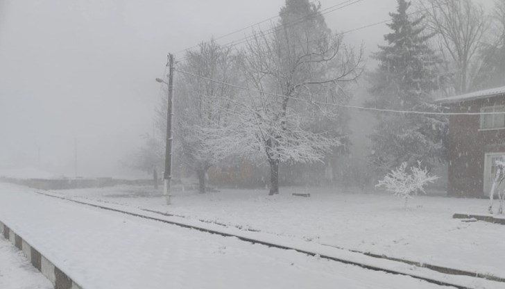 Няколко села в общините Дулово и Алфатар останаха без ток и мобилни комуникации Няколко села в общините Дулово и Алфатар останаха без ток и мобилни комуникации