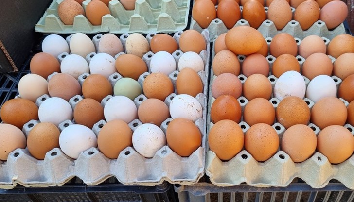 Инспектори ще следят за качеството на агнешкото месо, козунаците и боядисаните яйца Инспектори ще следят за качеството на агнешкото месо, козунаците и боядисаните яйца