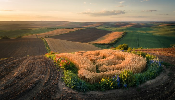 Промяната ще увеличи приходите в общинския бюджет Промяната ще увеличи приходите в общинския бюджет