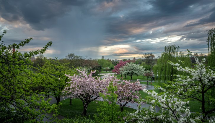 След застудяването идват пролетни температури След застудяването идват пролетни температури