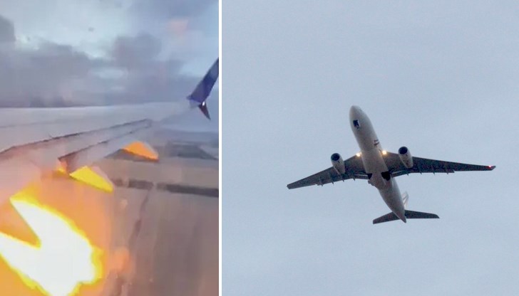 Сблъсъците с дивите животни са сериозен риск за авиацията Сблъсъците с дивите животни са сериозен риск за авиацията