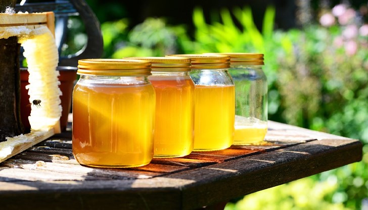 Пчеларката Недялка Михова: Необходими са идеални условия за добив на ценния нектар Пчеларката Недялка Михова: Необходими са идеални условия за добив на ценния нектар