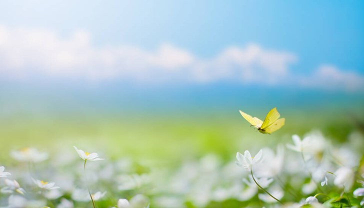 Повече валежи ще има в периода 2-4 май Повече валежи ще има в периода 2-4 май