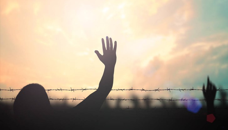 Организацията е прехвърлила между 1000 и 2500 мигранти, взимайки по 3000 евро от всеки от тях Организацията е прехвърлила между 1000 и 2500 мигранти, взимайки по 3000 евро от всеки от тях