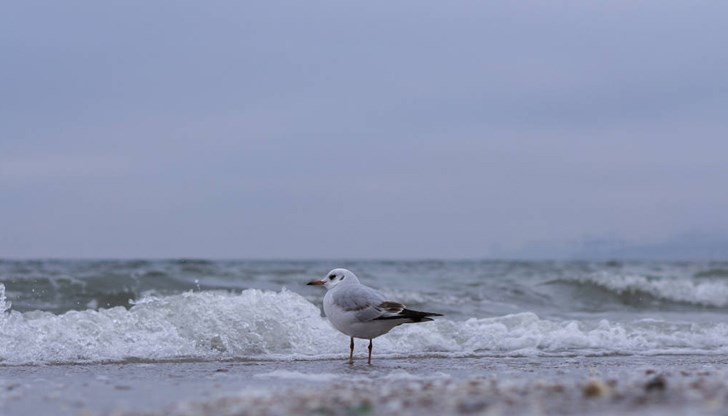 Тялото е намерено от случайни минувачи тази сутрин Тялото е намерено от случайни минувачи тази сутрин