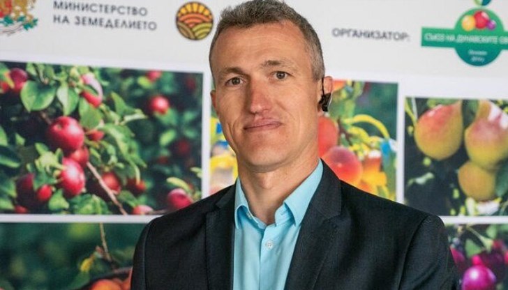 Студът унищожи 100% от реколтата на кайсии в Дунавския регион Студът унищожи 100% от реколтата на кайсии в Дунавския регион