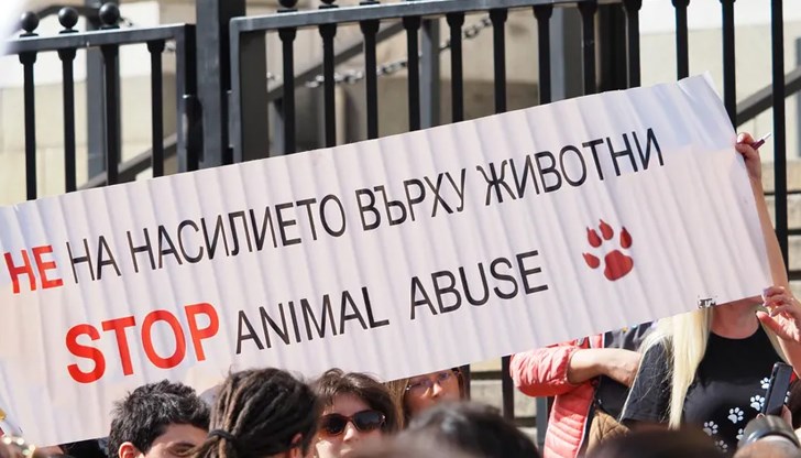 Садистичният "бизнес" с животни ще се наказва с лишаване от свобода до 10 години и глоби до 20 000 лева Садистичният "бизнес" с животни ще се наказва с лишаване от свобода до 10 години и глоби до 20 000 лева