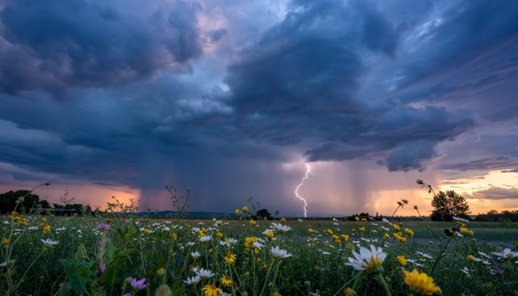 Климатичните промени превръщат обикновения полен в здравна заплаха Климатичните промени превръщат обикновения полен в здравна заплаха