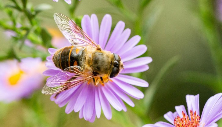 Учени от Кеймбридж алармират за опасността от замърсени почви в урбанизираните райони Учени от Кеймбридж алармират за опасността от замърсени почви в урбанизираните райони