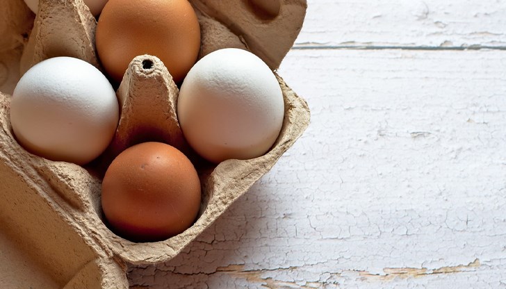 Свободно отглежданите кокошки снасят най-здравите яйца за Великден Свободно отглежданите кокошки снасят най-здравите яйца за Великден